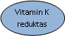 Oval: Vitamin K reduktas