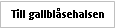 Text Box: Till gallblåsehalsen
