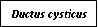 Text Box: Ductus cysticus
