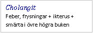 Text Box: Cholangit
Feber, frysningar + ikterus + smärta i övre högra buken
