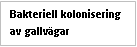 Text Box: Bakteriell kolonisering av gallvägar
