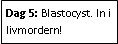 Text Box: Dag 5: Blastocyst. In i livmordern!