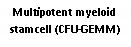 Text Box: Multipotent myeloid stamcell (CFU-GEMM)