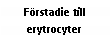 Text Box: Förstadie till erytrocyter
