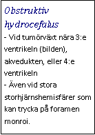 Text Box: Obstruktiv hydrocefalus- Vid tumörväxt nära 3:e ventrikeln (bilden), akvedukten, eller 4:e ventrikeln
- Även vid stora storhjärnshemisfärer som kan trycka på foramen monroi.