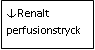 Text Box: ↓Renalt perfusionstryck