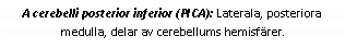 Text Box: A cerebelli posterior inferior (PICA): Laterala, posteriora medulla, delar av cerebellums hemisfärer.