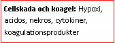 Text Box: Cellskada och koagel: Hypoxi, acidos, nekros, cytokiner, koagulationsprodukter