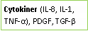 Text Box: Cytokiner (IL-8, IL-1, TNF-α), PDGF, TGF-β