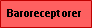 Text Box: Baroreceptorer