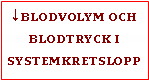 Text Box: ↓blodvolym och blodtryck i systemkretslopp