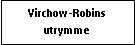 Text Box: Virchow-Robins utrymme