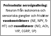 Text Box: Perivaskulär nervsignallering: Neuron från autonoma och sensoriska ganglier och frisätter vasokonstriktorer (NE, NPY, 5-HT) och vasodilatorer (NO, ACh, VIP, CGRP, SP)