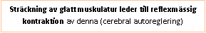 Text Box: Sträckning av glatt muskulatur leder till reflexmässig kontraktion av denna (cerebral autoreglering)