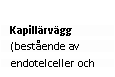 Text Box: Kapillärvägg (bestående av endotelceller och 