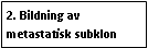 Text Box: 2. Bildning av metastatisk subklon 