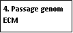 Text Box: 4. Passage genom ECM