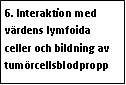 Text Box: 6. Interaktion med värdens lymfoida celler och bildning av tumörcellsblodpropp 