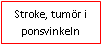 Text Box: Stroke, tumör i ponsvinkeln