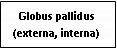 Text Box: Globus pallidus (externa, interna)