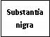 Text Box: Substantia nigra
