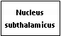 Text Box: Nucleus subthalamicus