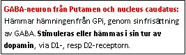 Text Box: GABA-neuron från Putamen och nucleus caudatus: Hämmar hämningen från GPi, genom sin frisättning av GABA. Stimuleras eller hämmas i sin tur av dopamin, via D1-, resp D2-receptorn.
