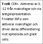 Text Box: T-cell: CD4+. Aktiveras av IL-12 från makrofager och via antigenpresentation. Frisätter INF-γ som aktiverar makrofager och driver deras differentiering mot epiteloida och giant cells.