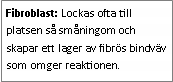 Text Box: Fibroblast: Lockas ofta till platsen så småningom och skapar ett lager av fibrös bindväv som omger reaktionen. 