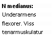 Text Box: N medianus: Underarmens flexorer. Viss tenarmuskulatur