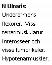 Text Box: N Ulnaris: Underarmens flexorer. Viss tenarmuskulatur. Interosseer och vissa lumbrikaler. Hypotenarmuskler.