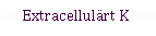 Text Box: Extracellulärt K