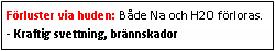 Text Box: Förluster via huden: Både Na och H2O förloras.
- Kraftig svettning, brännskador