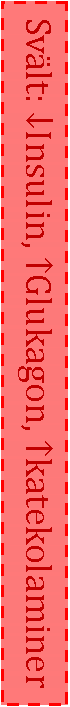 Text Box: Svält: ↓Insulin, ↑Glukagon, ↑katekolaminer